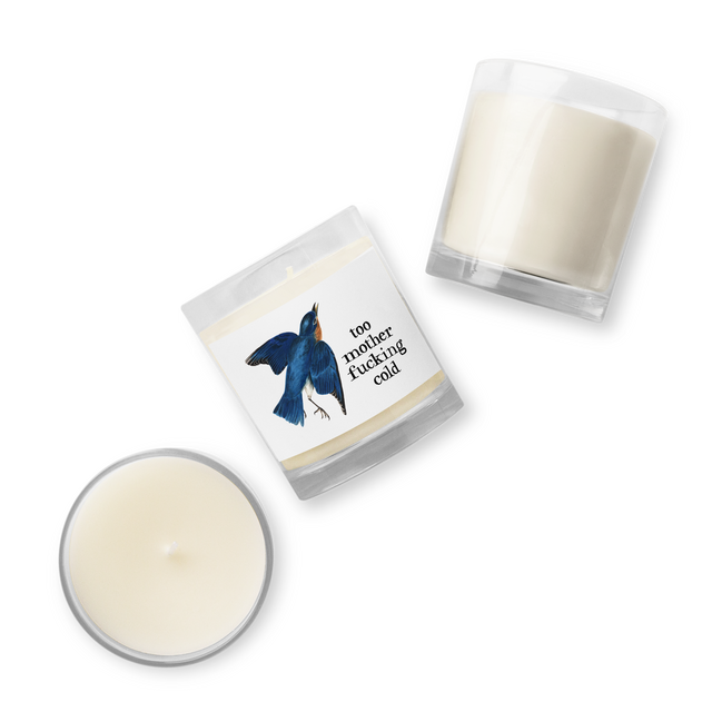 Too Mother Fucking Cold Soy Wax Candle