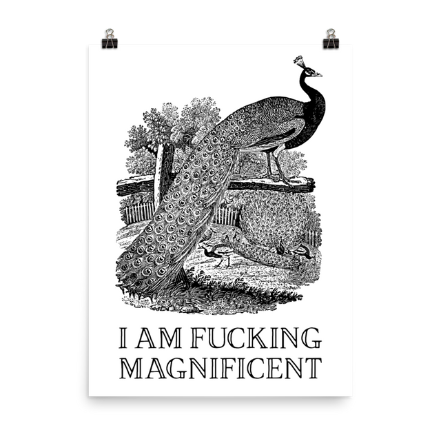 I am Fucking Magnificent Poster