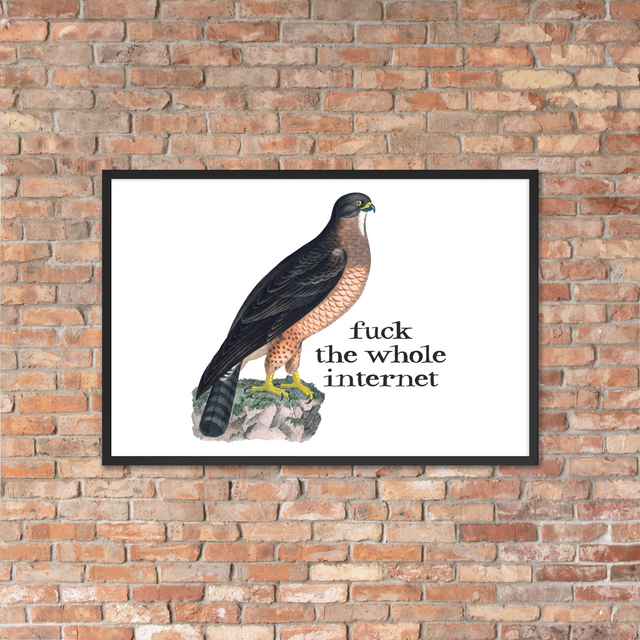 Fuck The Whole Internet Framed Poster