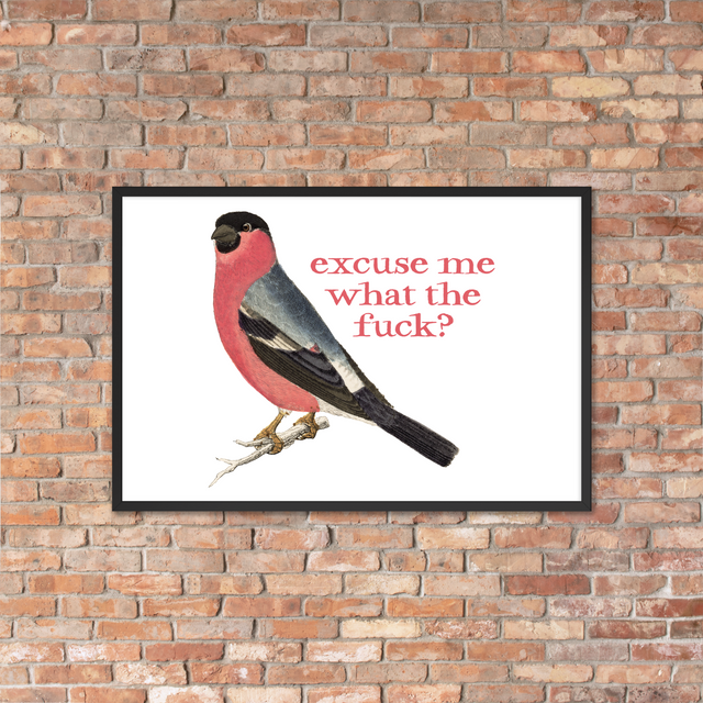 Excuse Me What The Fuck? Framed Poster