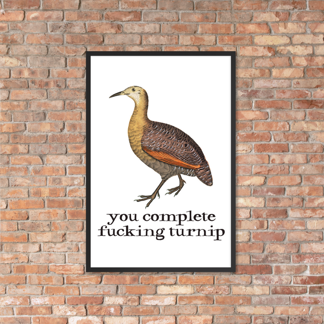 You Complete Fucking Turnip Framed Poster