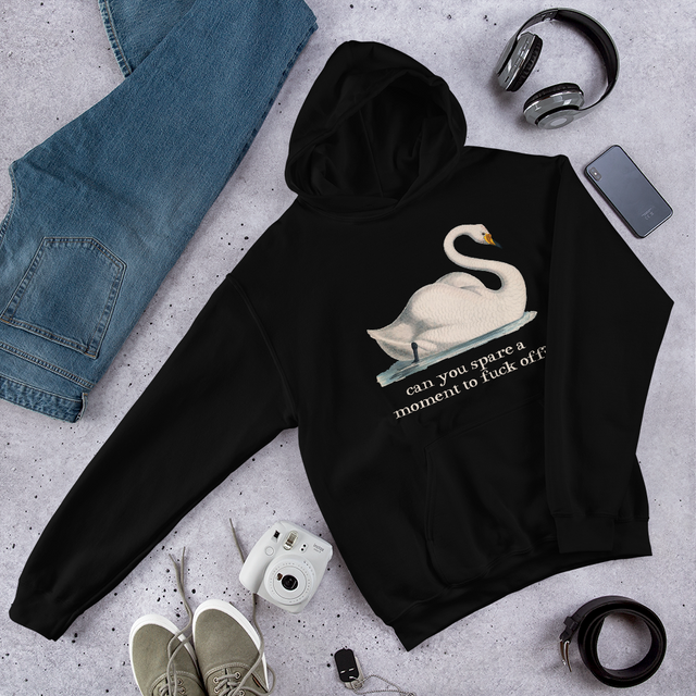 Can You Spare A Moment To Fuck Off? Hooded Sweatshirt