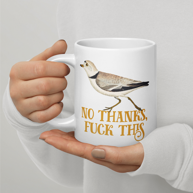 No Thanks, Fuck This Big-Ass Mug
