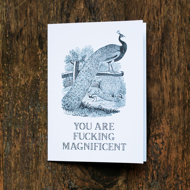 You Are Magnificent Greeting Card