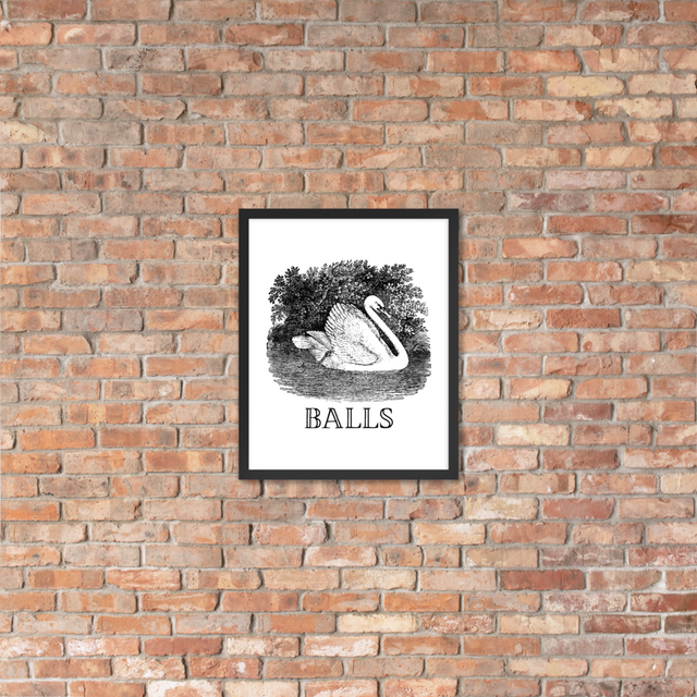 Balls Framed Poster