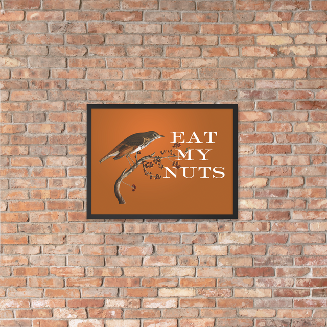 Eat My Nuts Framed Poster