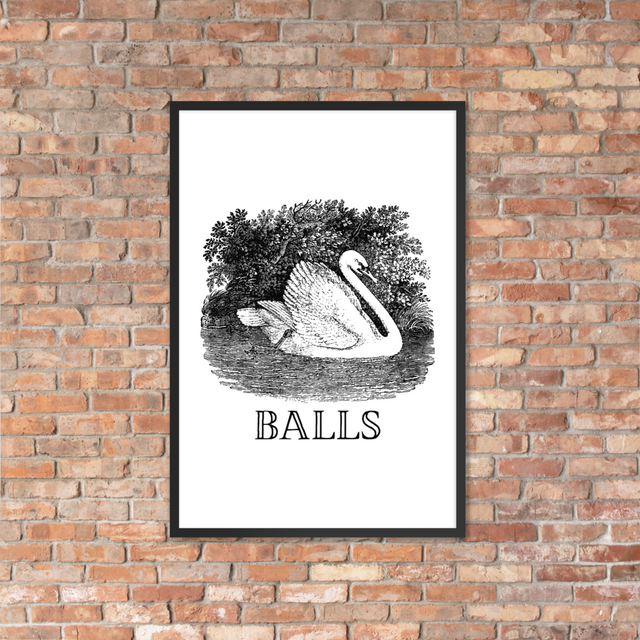 Balls Framed Poster