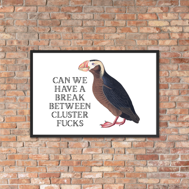 Can We Have A Break Between Clusterfucks Framed Poster