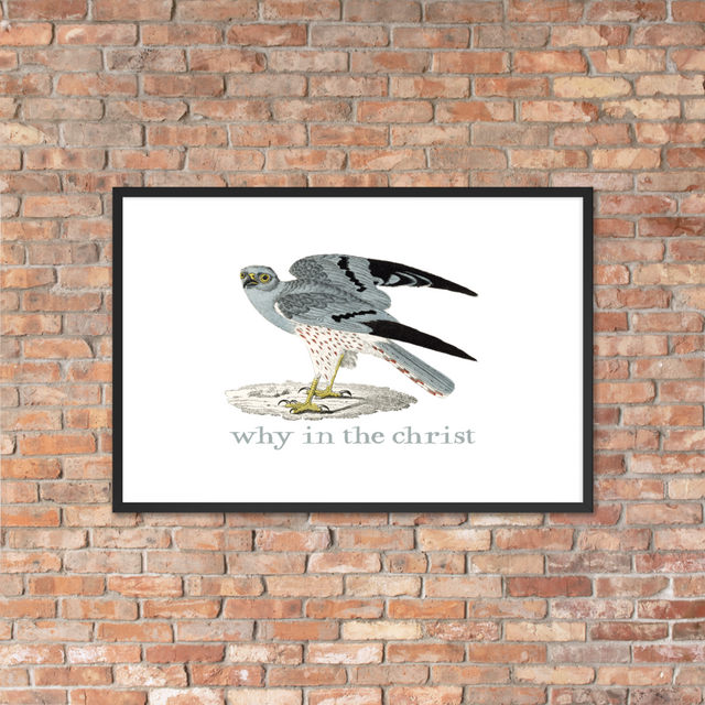 Why In The Christ Framed Poster