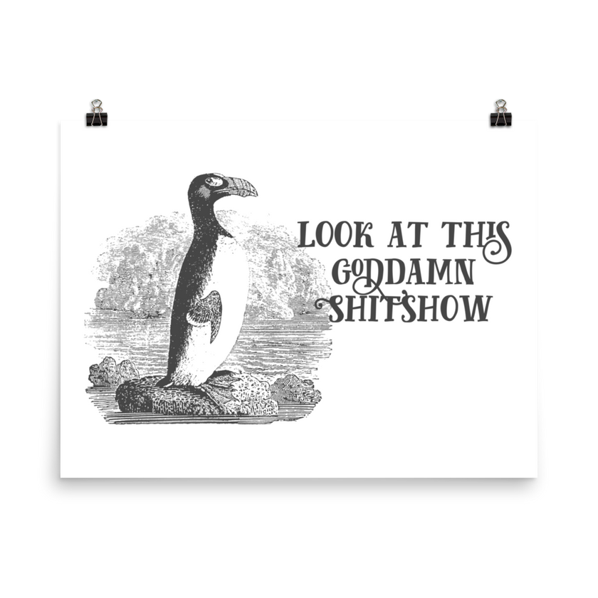 Look At This Goddamn Shitshow Poster – EFFIN BIRDS