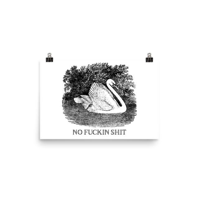 No Shit Poster