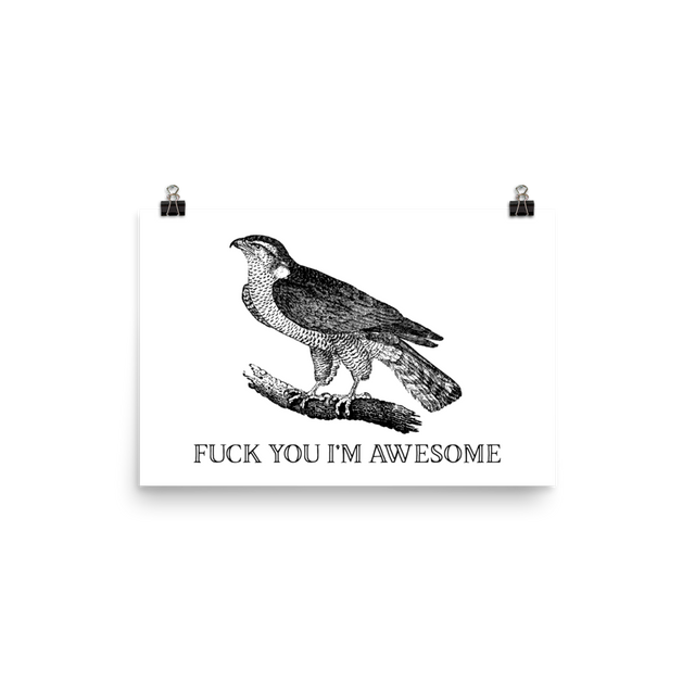 Fuck You I'm Awesome Poster