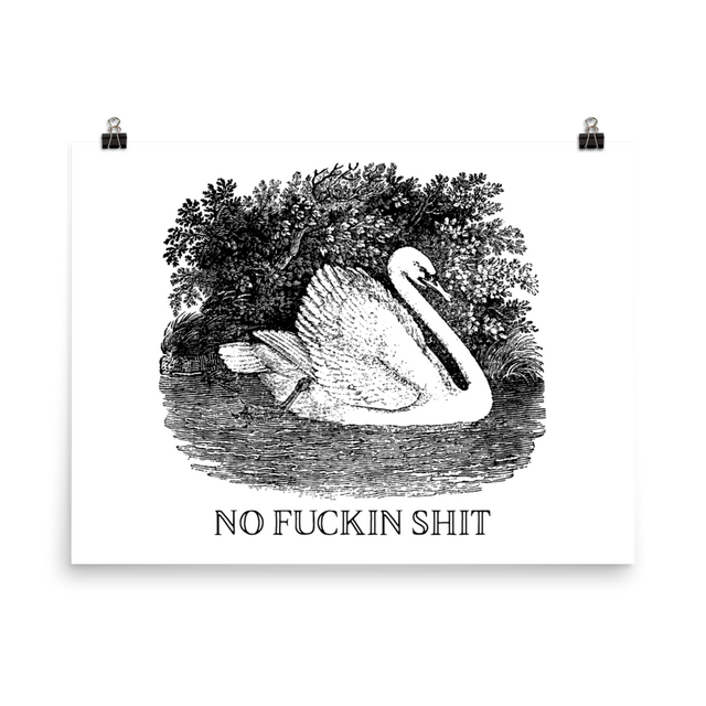 No Shit Poster