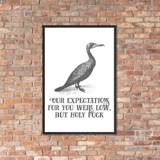 Our Expectations For Your Were Low, But Holy Fuck Framed Poster