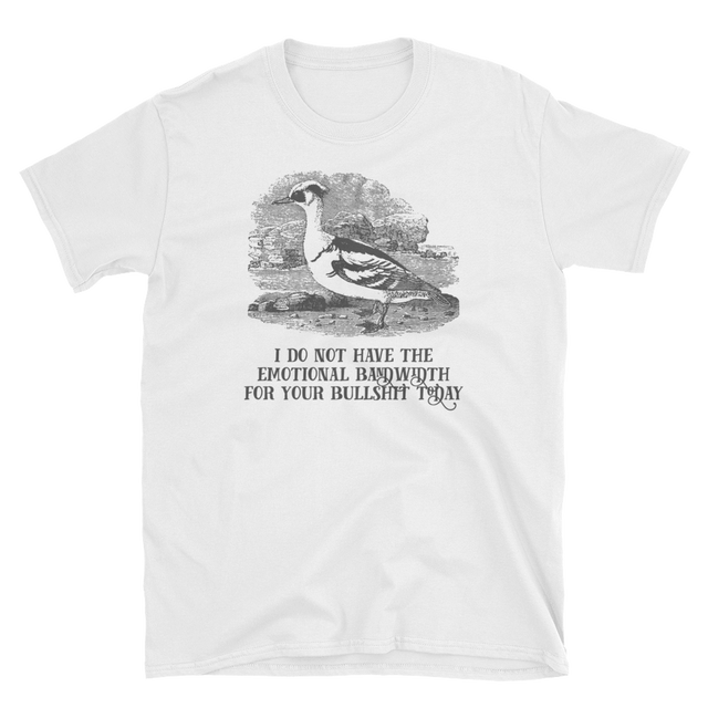 I Do Not Have The Bandwidth For Your Bullshit Today Tee