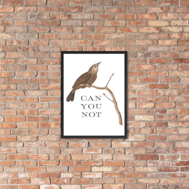 Can You Not Framed Poster