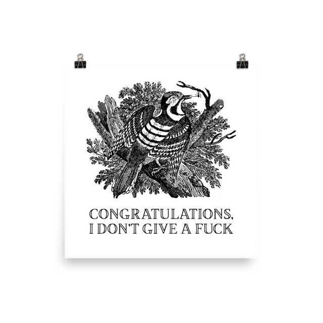 Congratulations, I Don't Give A Fuck Poster