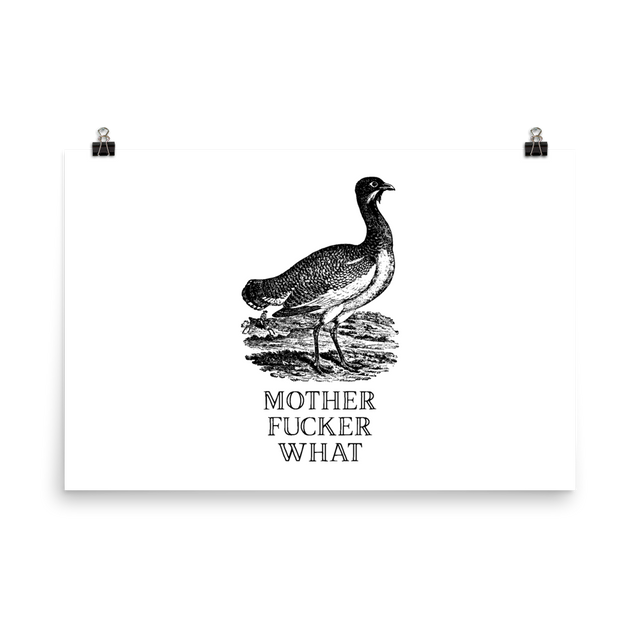 Mother Fucker What Poster – EFFIN BIRDS