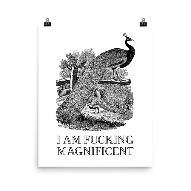 I am Fucking Magnificent Poster