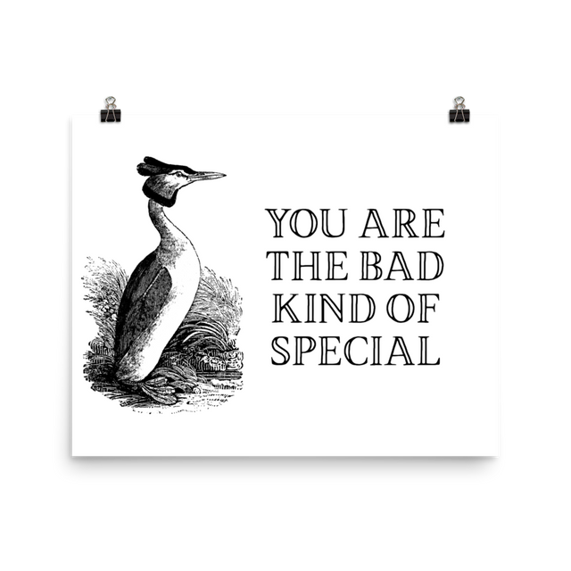 Special Bad Poster – EFFIN BIRDS