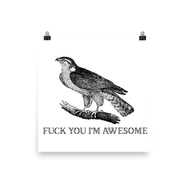 Fuck You I'm Awesome Poster