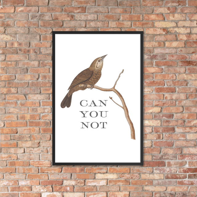 Can You Not Framed Poster