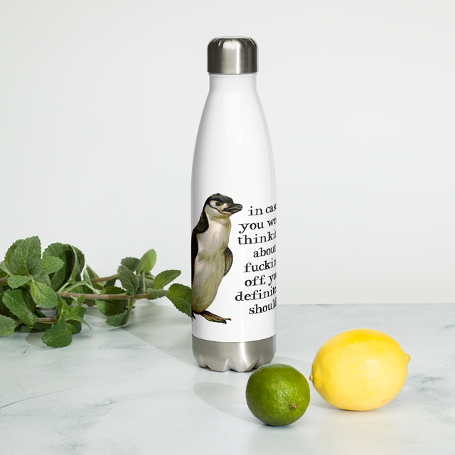 In Case You Were Thinking About Fucking Off, You Definitely Should Stainless Steel Water Bottle