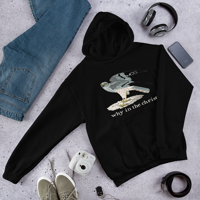Why In The Christ Hooded Sweatshirt