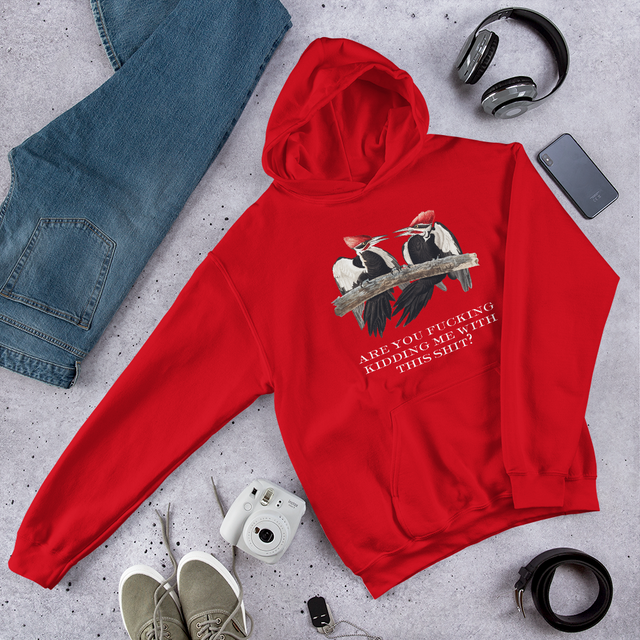Are You Fucking Kidding Me With This Shit Hooded Sweatshirt