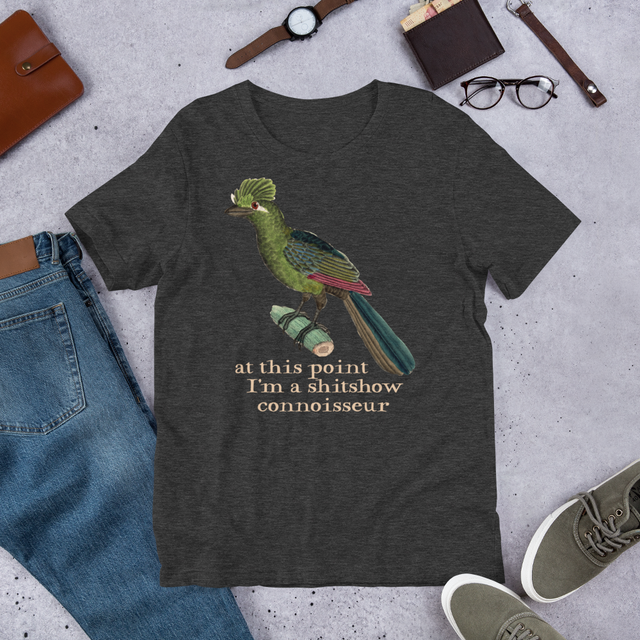 At This Point I'm A Shitshow Connoisseur T-Shirt