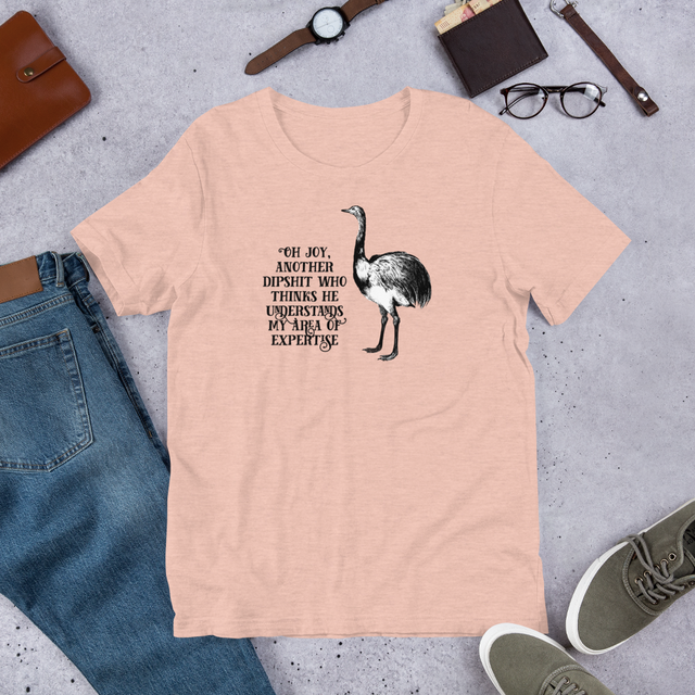 Oh Joy, Another Dipshit Who Thinks He Understands My Area Of Expertise T-Shirt